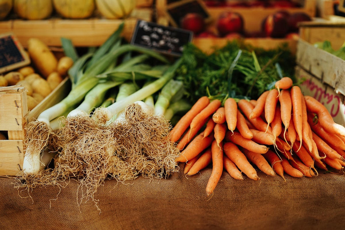 Ingredientes naturales para bienestar digestivo